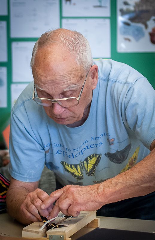 The butterfly man